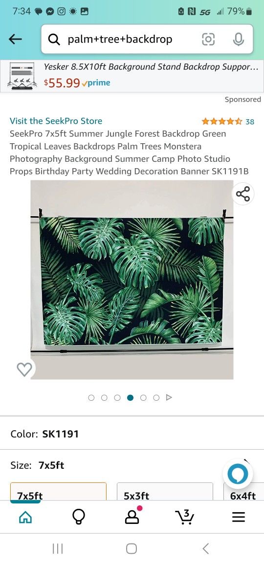 Palm Leaves Backdrop