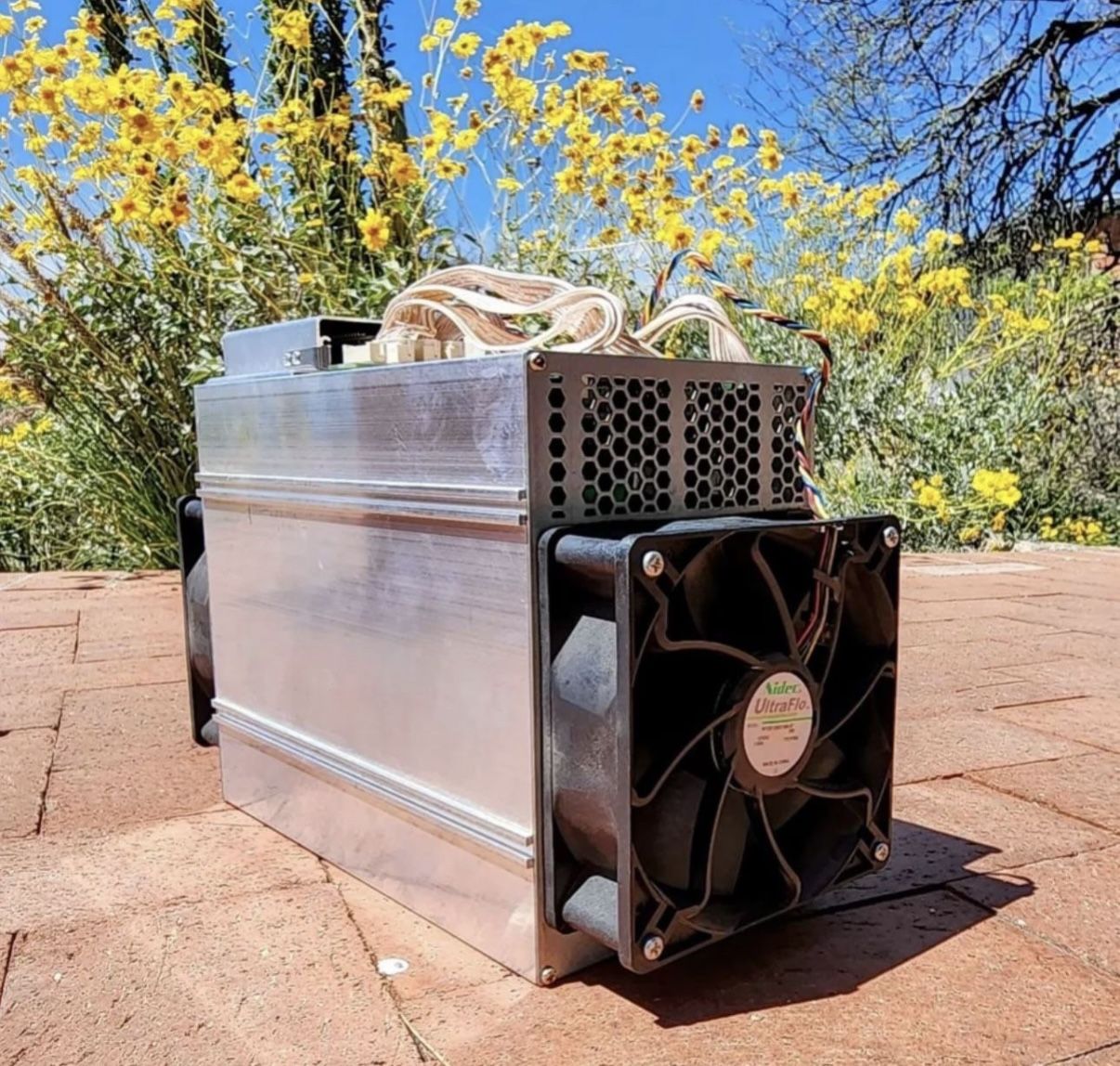 x Bitmain Antminer D3 ASIC Cryptocurrency Miners