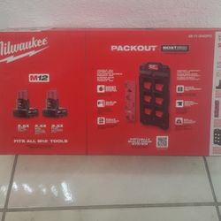 Milwaukee
M12 12V Lithium-Ion XC Extended Capacity 4.0 Ah Battery 2-Pack w/PACKOUT Compact Wall Plate & M12 Battery Rack
