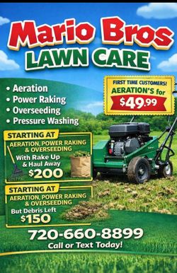 Power rake