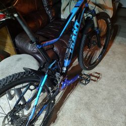  Giant  FS MTB