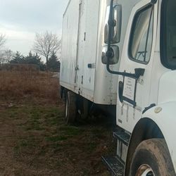 White Freightliner For Sale 