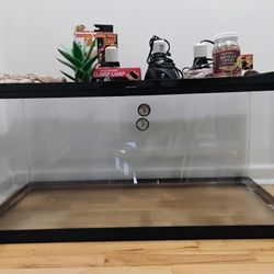 Lizard essentials for sale