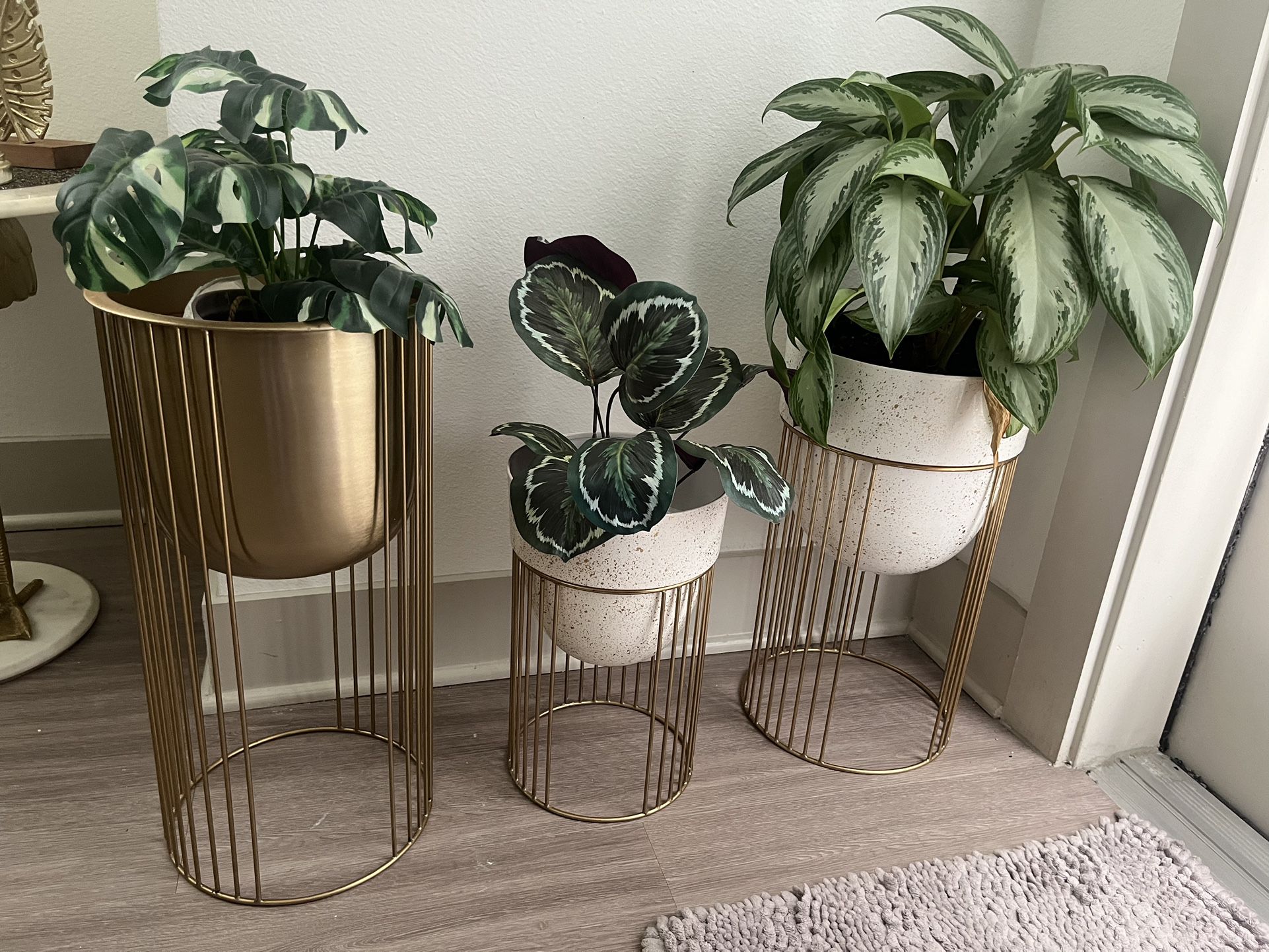 Three Plant Pot 