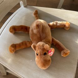 Ty Humphrey Camel