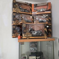 Harley Davidson Collection 