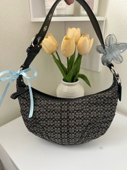 Coach Soho Signature Jacquard Small Hobo Shoulder Bag