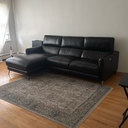 Electric Couch (costco)