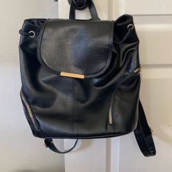 Black Purse/Backpack 