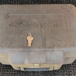 Sentry Safe
