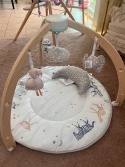 aden + anais Play & Discover Baby Activity Gym