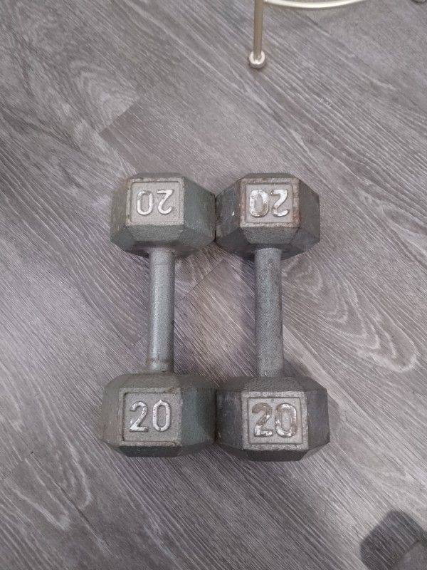20 Lb Dumbbells