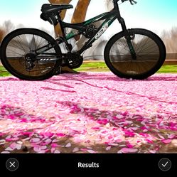 Bike Gauntlet Next 24