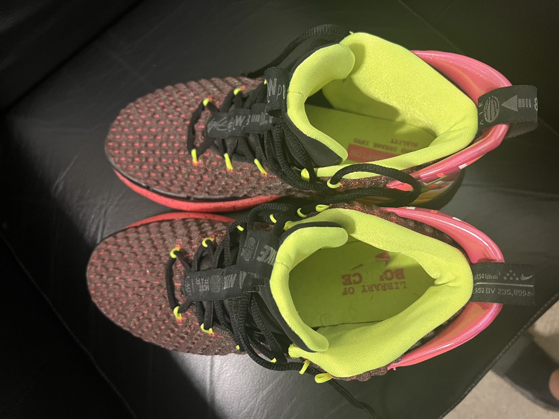 Nike Alpha Dunk Hoverboard