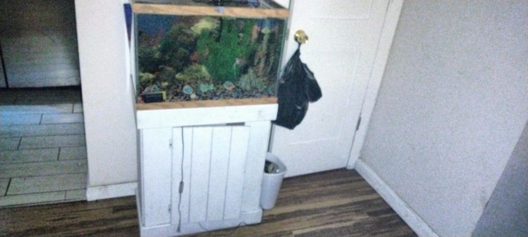 Fish Tank And Stand