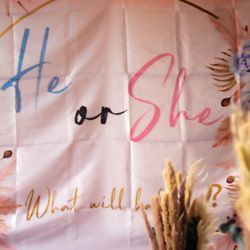 Elegant Gender Reveal Backdrop 