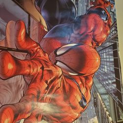 Spider-Man Poster