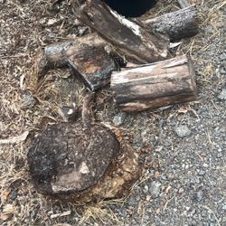 Firewood