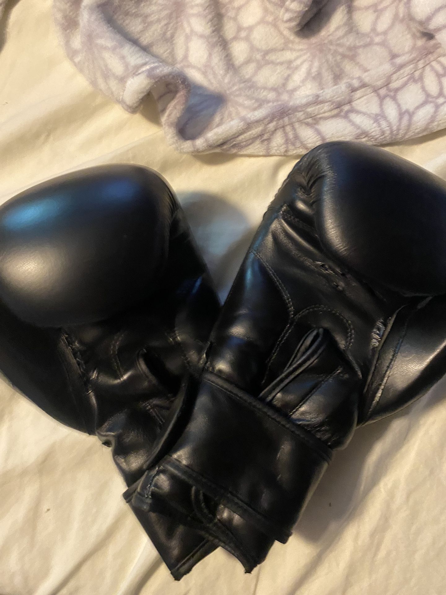 Pro Boxing Gloves