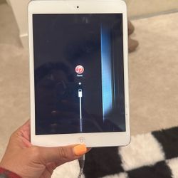 iPad 1 Mini