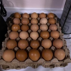 Fresh Organic Eggs  