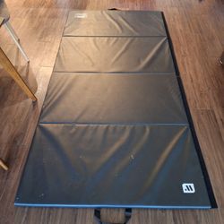 (2) Gym/Tumbling Mats 