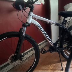 Schwinn Bicycle 
