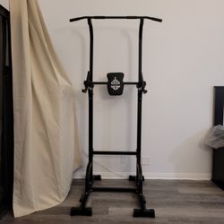Pull-Up & Dip Station Like a New