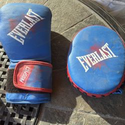Everlast Training Glove&pad