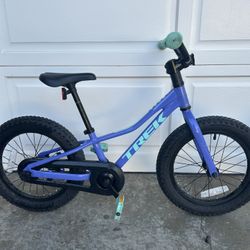 Purple Trek Kids Bike 