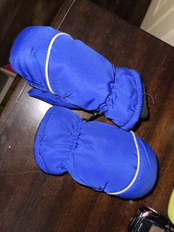 Toddler Snow Gloves 