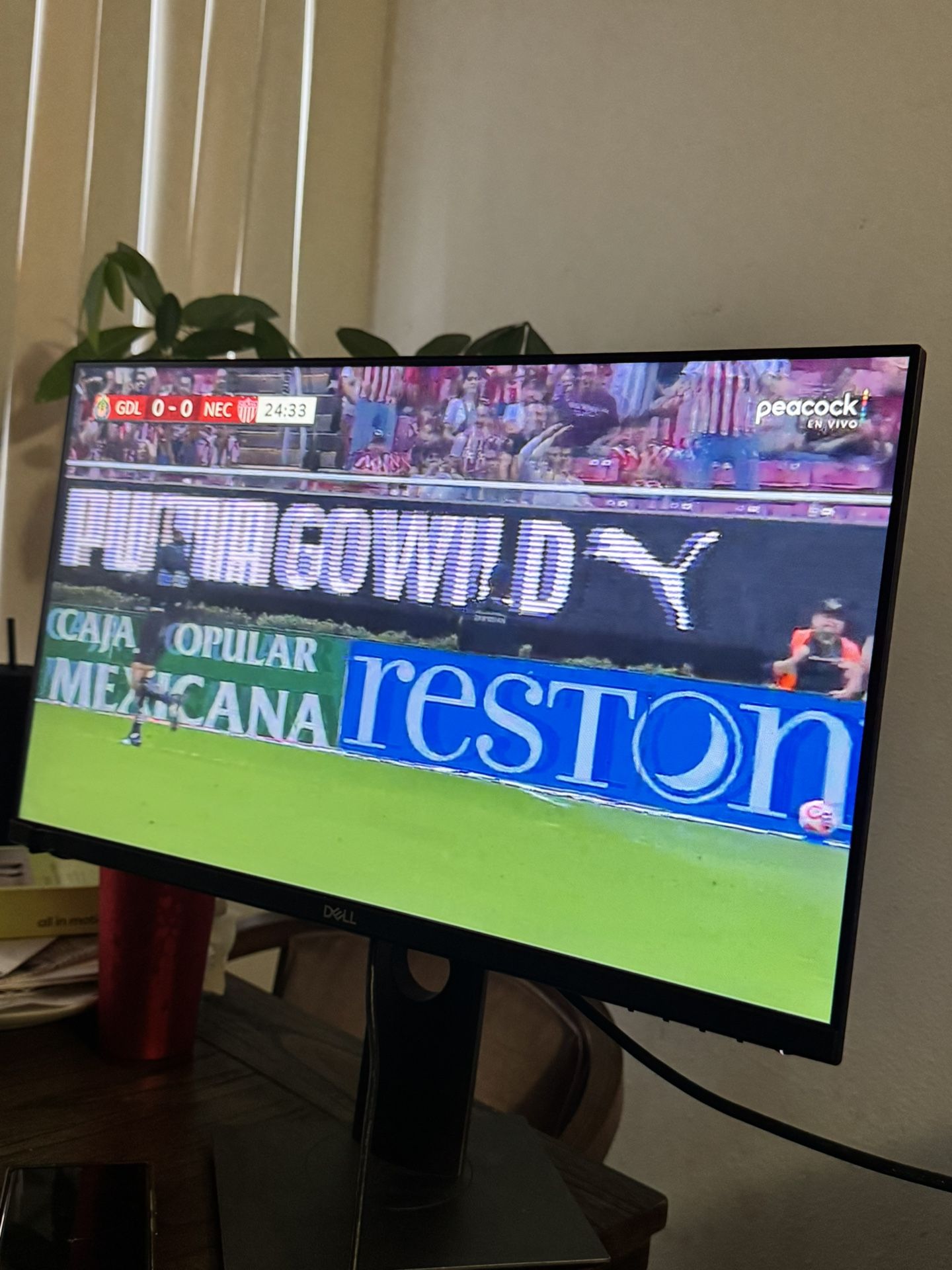 Computer monitor Dell 