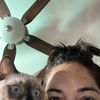 Cescily