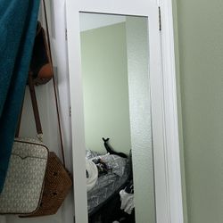 Door Mirror