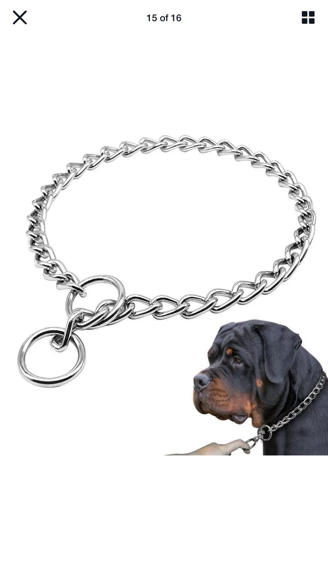 Dog Chain Collar