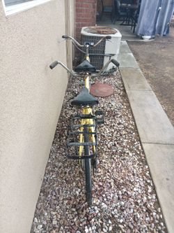 Schwinn De Lexe Twin