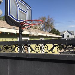 Basketball