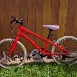 Kids Trek Mountain Bike 20 Inch