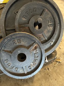 Two 25lb Olympic BFCO Plates 