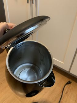 Electric tea kettle