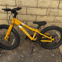 Kids 20” Bike