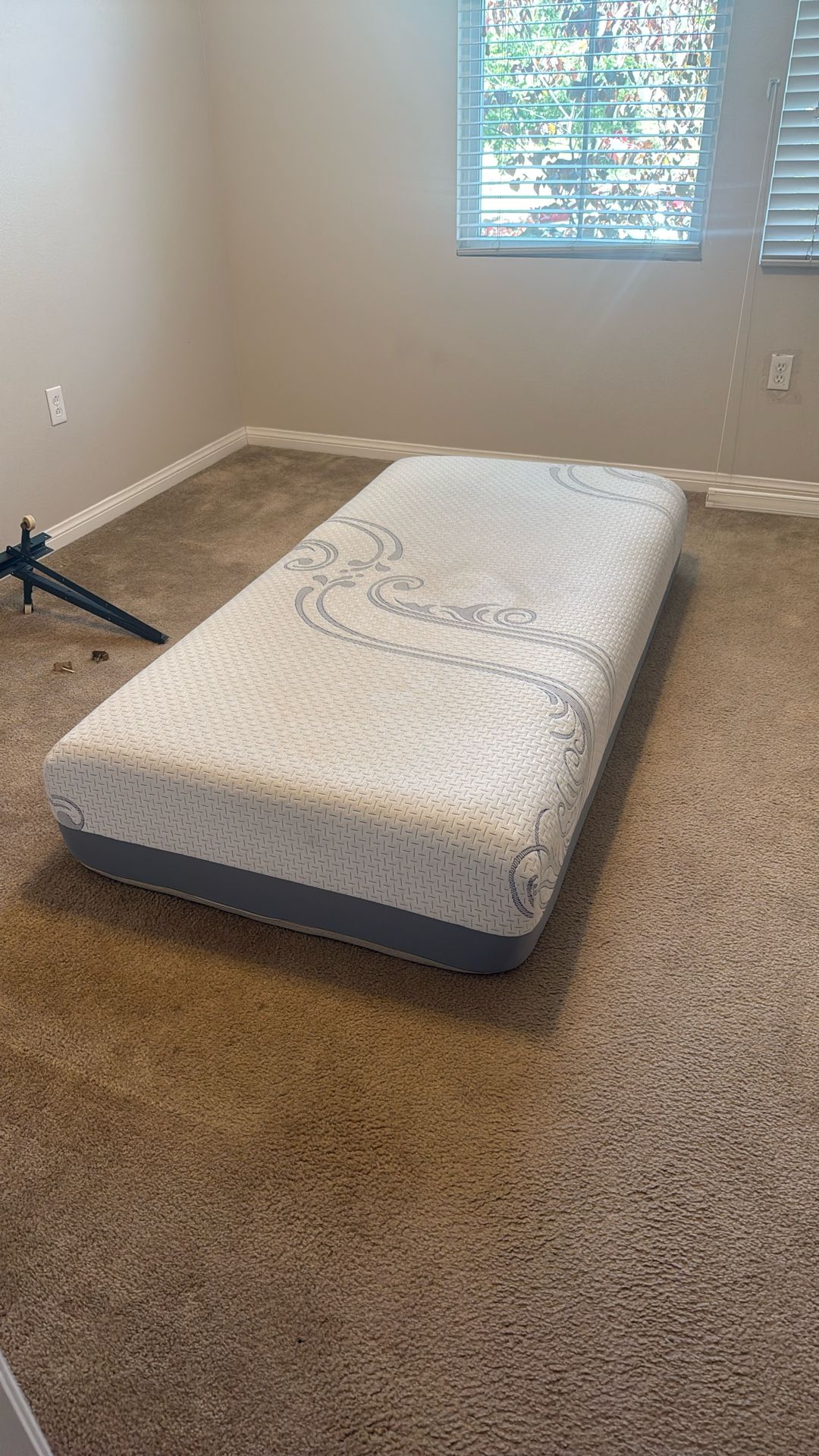 Twin Mattress, Box Spring And Bed Frame