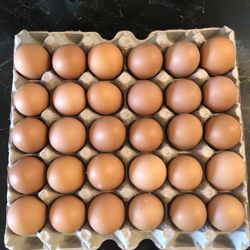 Organic Farm Fresh Eggs 