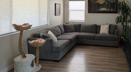 Sectional couch