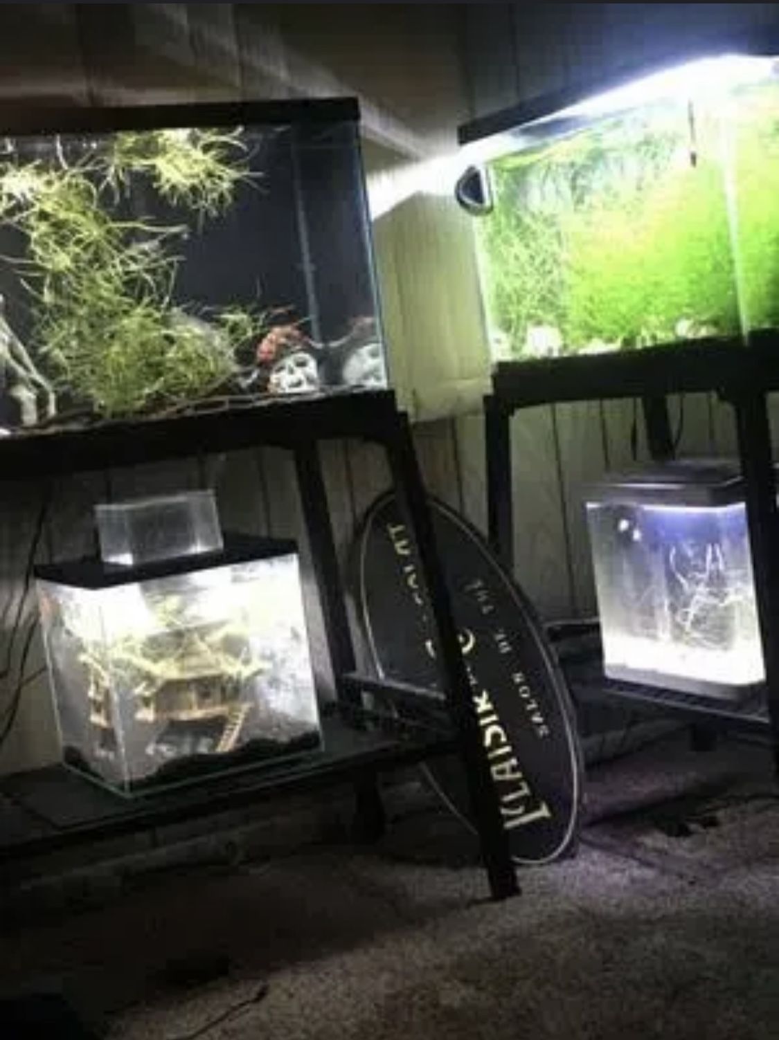 20 GALLON LONG TANK WITH STAND AND EXTRAS