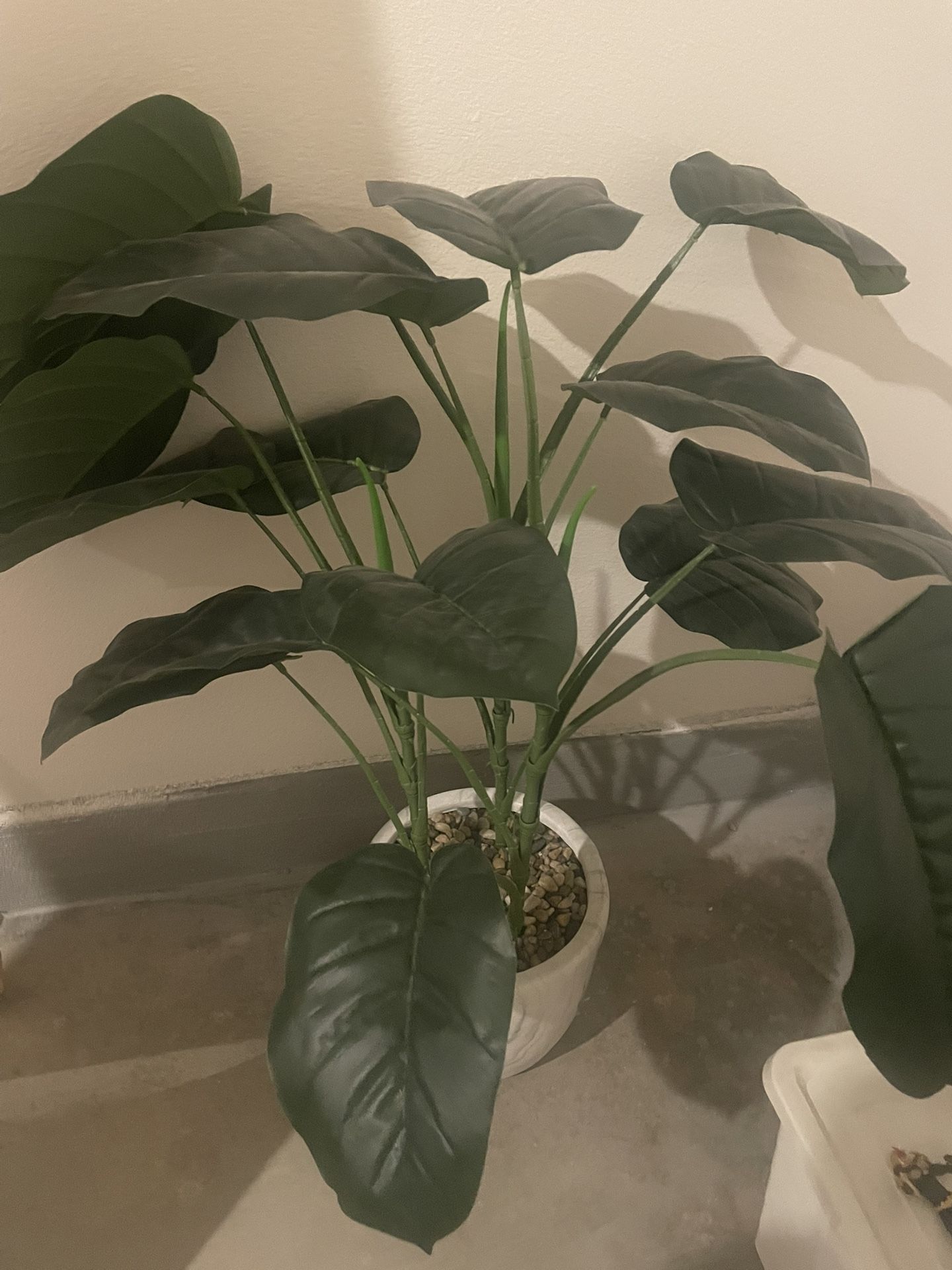 Fake Plant 