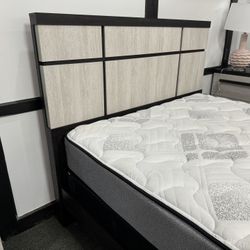 Bed Frame 