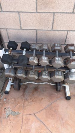 USED BENCH BARBELLS CURLING WEIGHT BAR BENCH BAR
