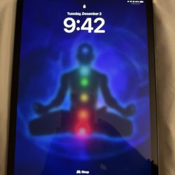 iPad Pro 11 Inch 4th Gen 256GB - WiFi & Cellular