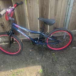 Kids Bike 20’